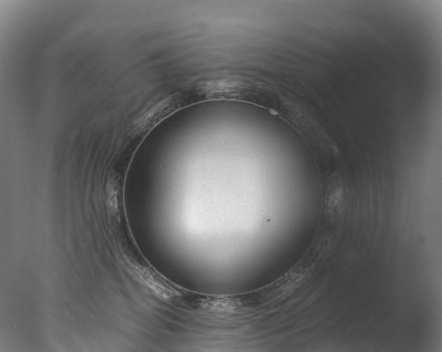 X0000076430282200610161200