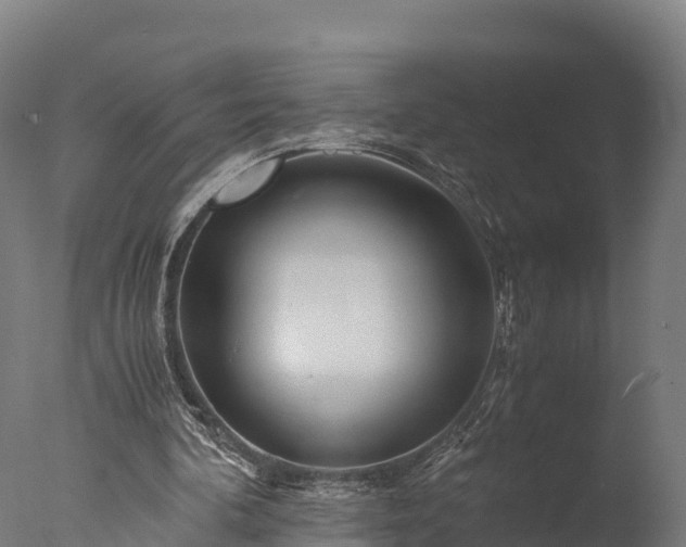 X0000076430292200610161200