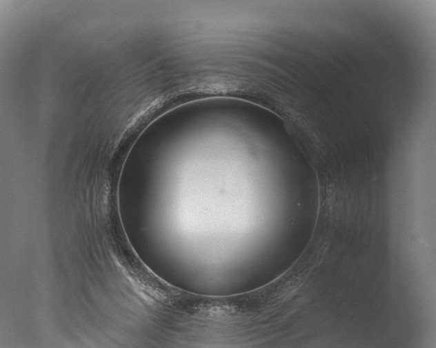 X0000076430304200610161159