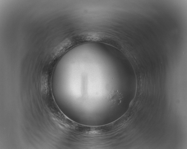 X0000076430312200610161159