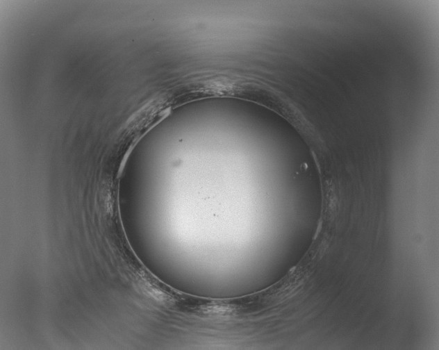 X0000076430313200610161159