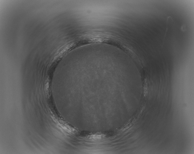 X0000076430314200610161159