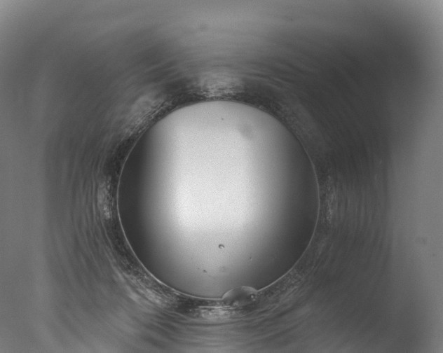 X0000076430316200610161159