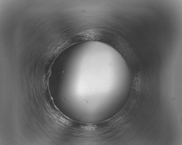 X0000076430318200610161159