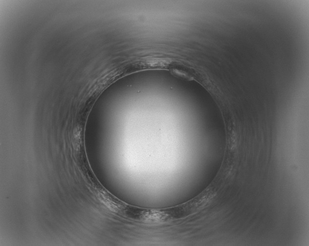X0000076430321200610161159