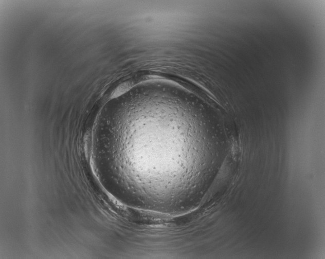 X0000076430323200610161159