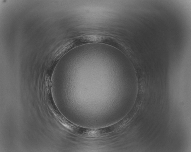 X0000076430325200610161159