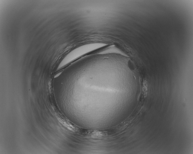 X0000076430330200610161159