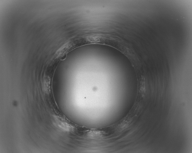 X0000076430332200610161159