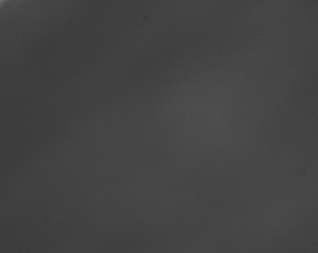 X0000076430335200610161159