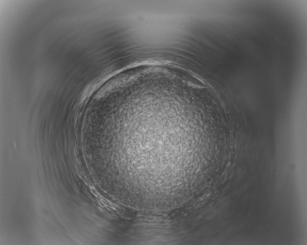 X0000076430337200610161158