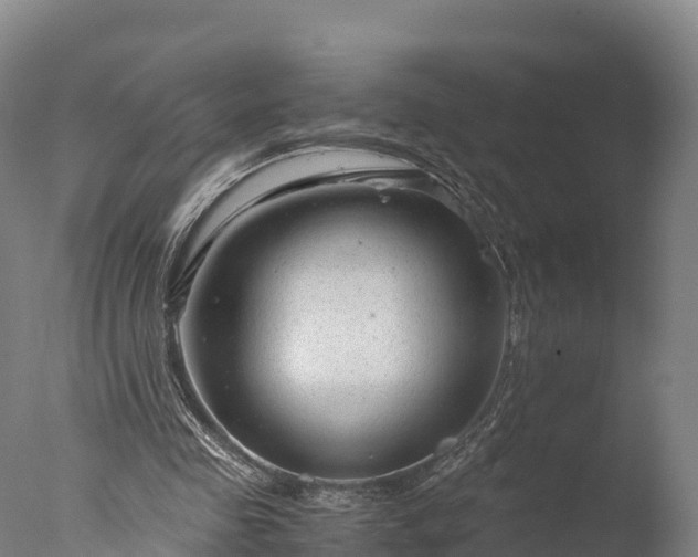 X0000076430341200610161158