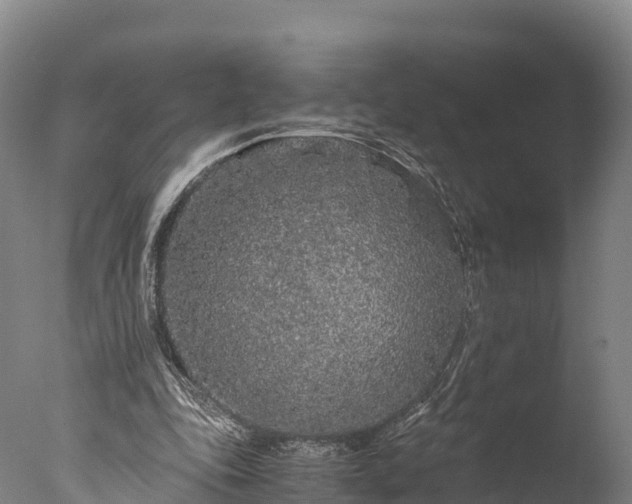 X0000076430343200610161158
