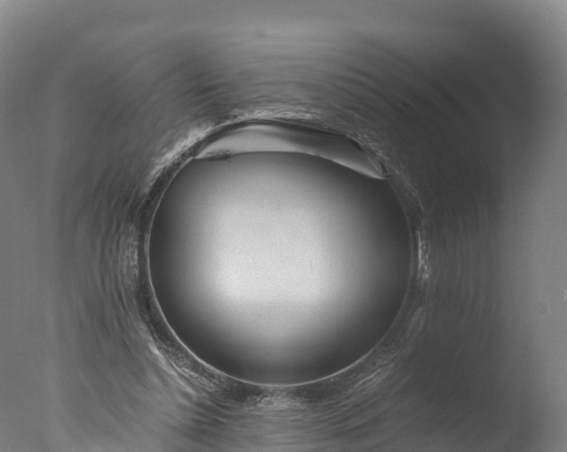 X0000076430348200610161158