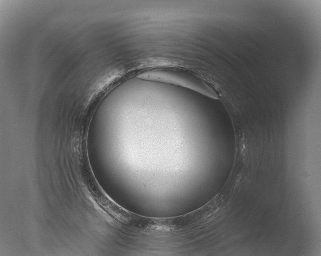 X0000076430352200610161158