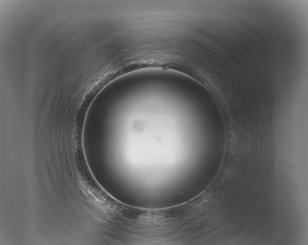 X0000076430354200610161158