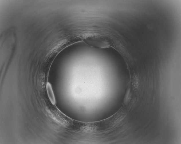 X0000076430356200610161158