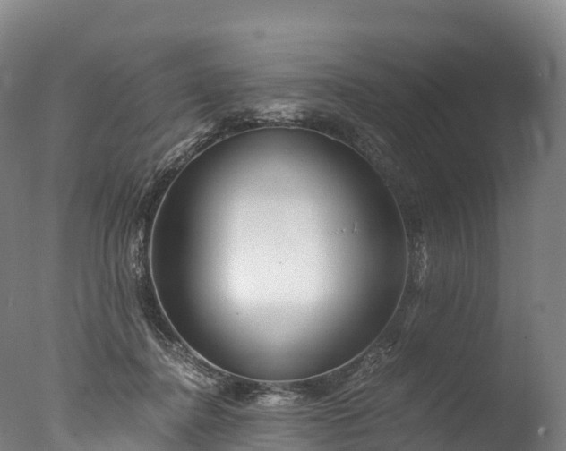 X0000076430364200610161158