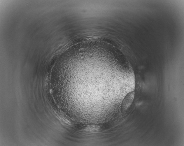 X0000076430369200610161159