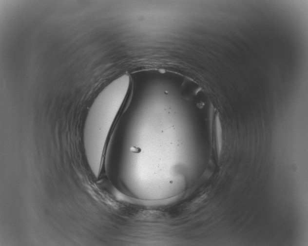 X0000076430380200610161159