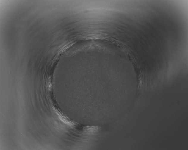 X0000076430383200610161159