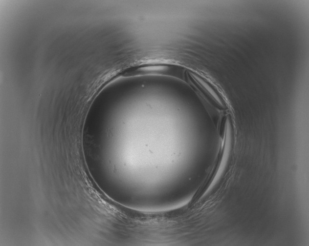 X0000076430385200610161158