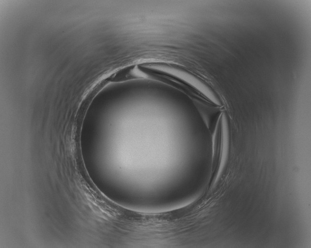 X0000076430387200610161158