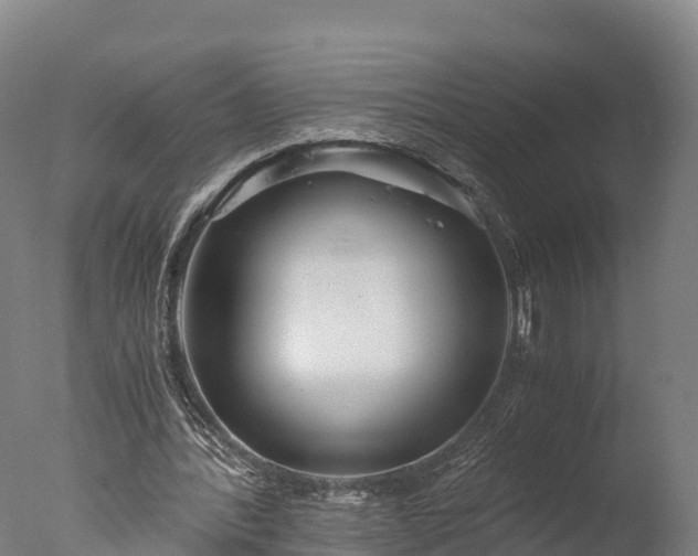 X0000076430388200610161158