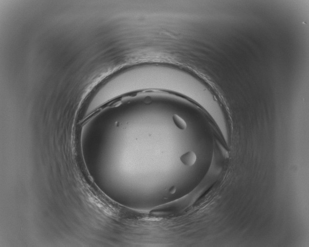 X0000076430391200610161158