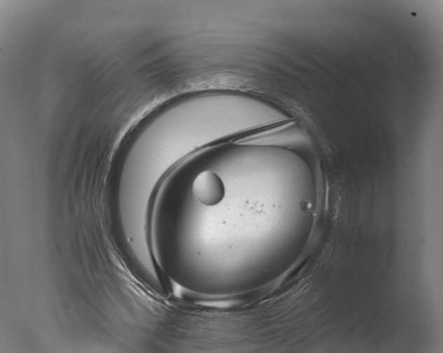X0000076430392200610161158