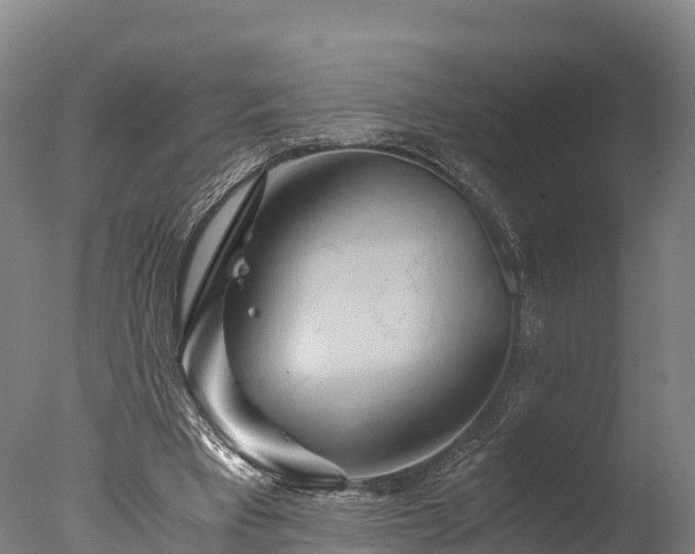 X0000076430393200610161158
