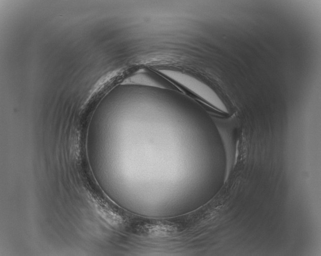 X0000076430400200610161158