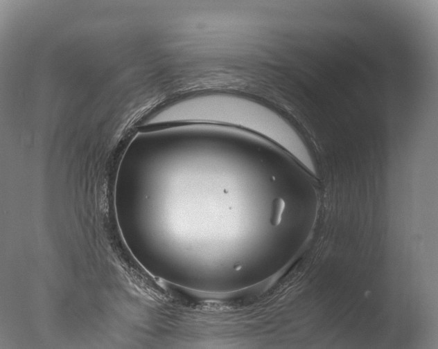 X0000076430403200610161158