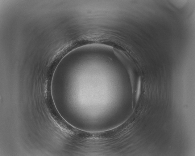 X0000076430404200610161158