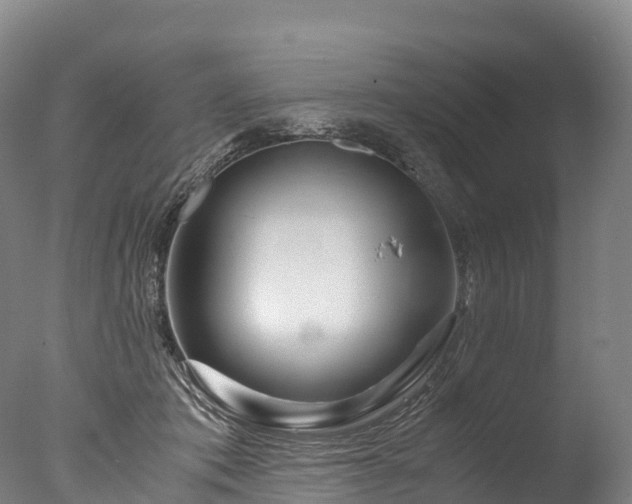 X0000076430413200610161157
