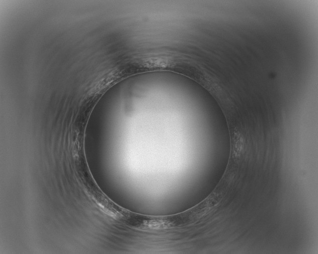 X0000076430414200610161157