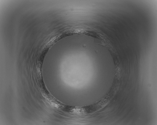 X0000076430415200610161157