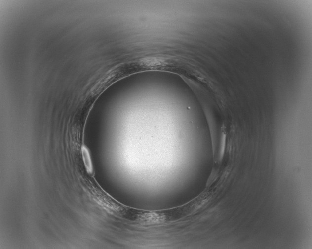 X0000076430421200610161157