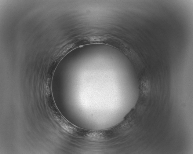 X0000076430422200610161157