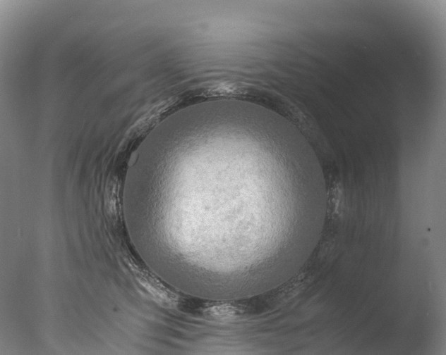 X0000076430423200610161157