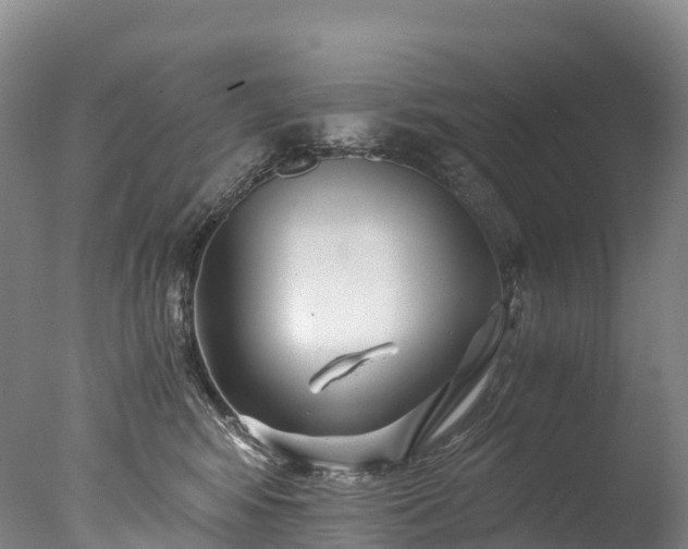 X0000076430424200610161157