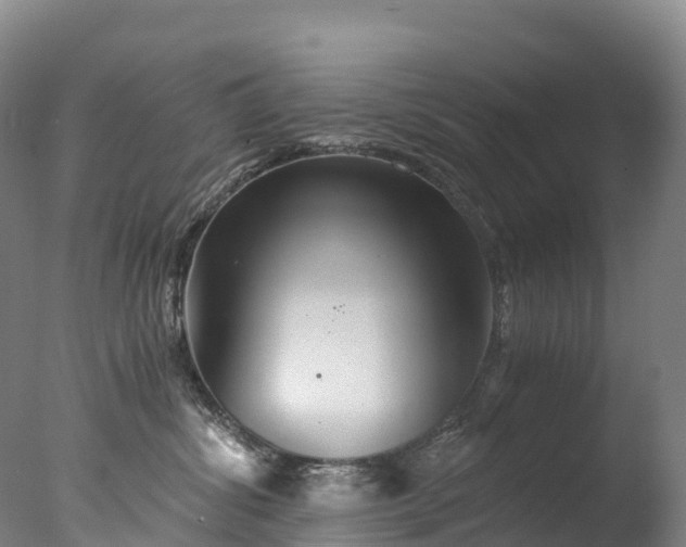 X0000076430428200610161157
