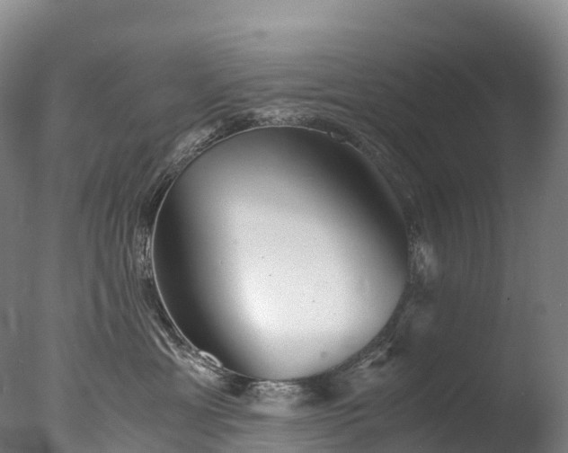 X0000076430429200610161157