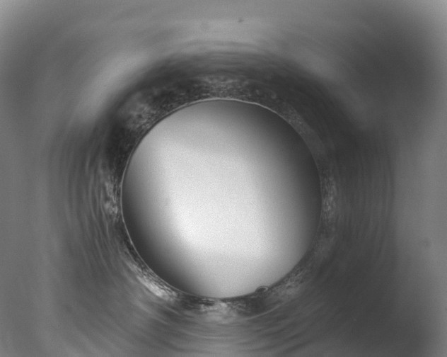 X0000076430430200610161157