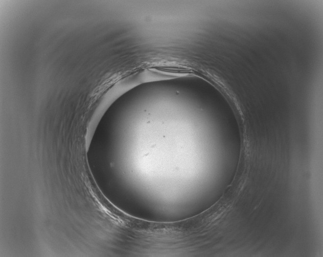 X0000076430433200610161156