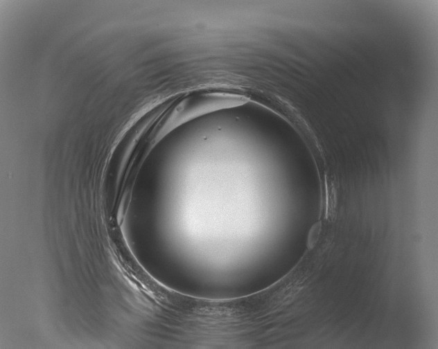 X0000076430435200610161156