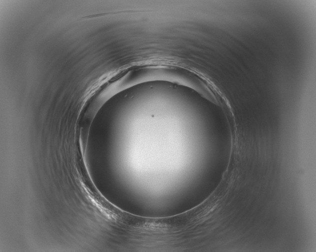 X0000076430437200610161156