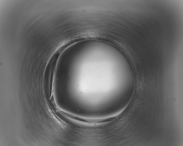 X0000076430439200610161156