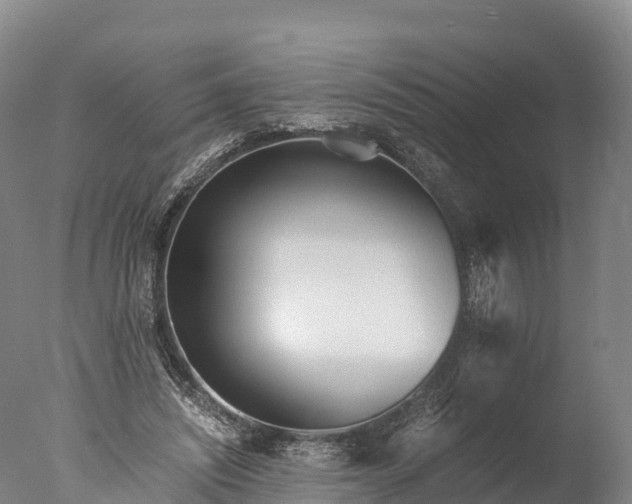 X0000076430444200610161157