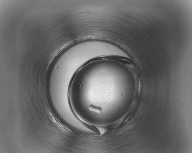 X0000076430446200610161157